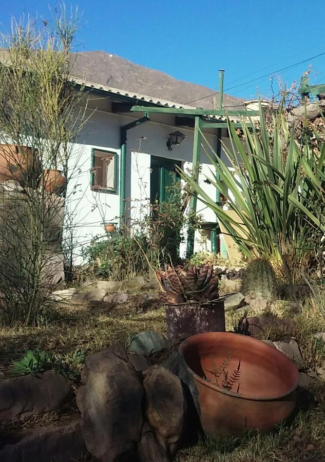 Villa Nanin ティルカラ エクステリア 写真